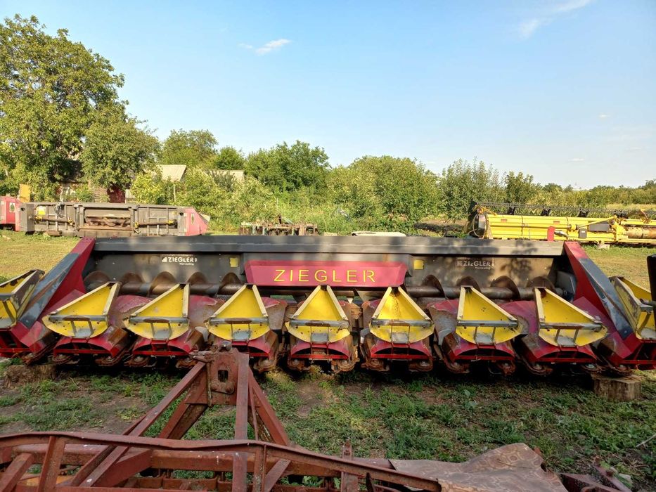 Олар өзенде қалай сиқырлайды