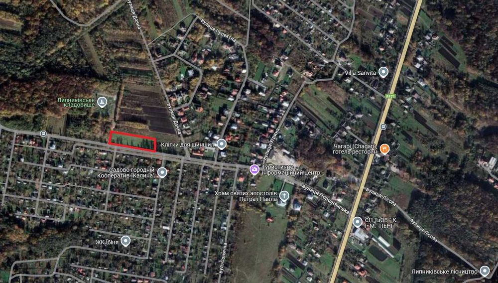 Продаж земельної ділянки у с. Липники, 43 сот, під бізнес/котеджі