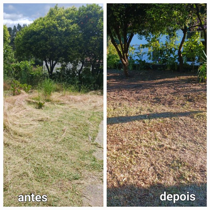 Limpeza de terrenos e manutenção de jardins