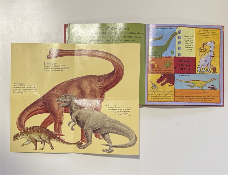 Livro infantil “Os Dinossauros”, da coleção Kididoc