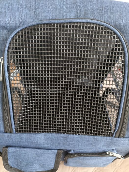 Plecak transporter dla psa kota