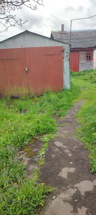 Продам половину будинку в Тетерівці .