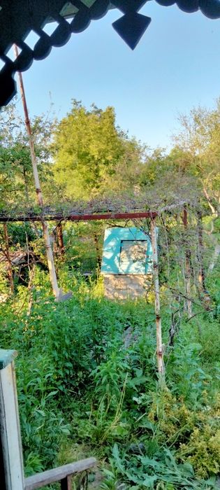 Продам дачу СТ Берізка біля села Гайове