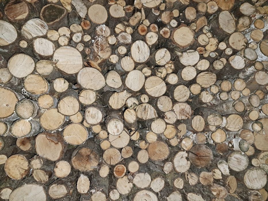 Drewno do wędzenia i kominka grusza , jabłoń , mirabelka , wią