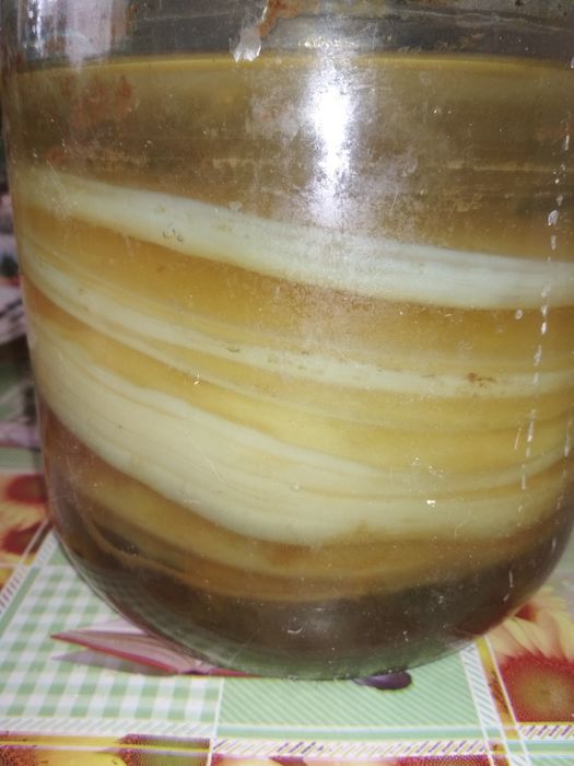 подарую чайний гриб