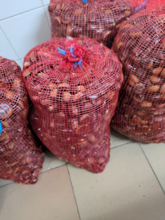 Castanha a 3€/kg