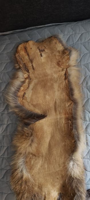 Sprzedam skóry lisów