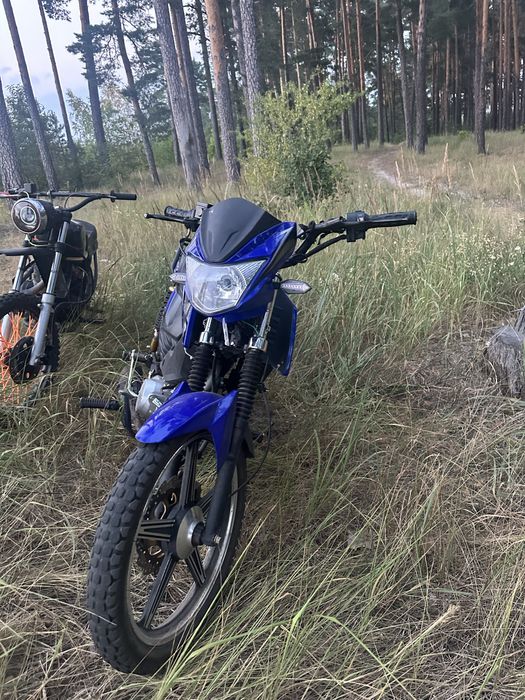 чамп 125.
