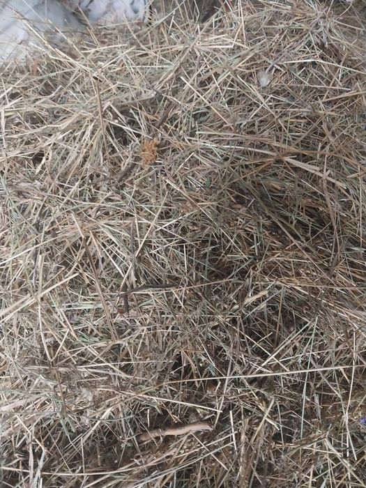 Продам сено в мешках