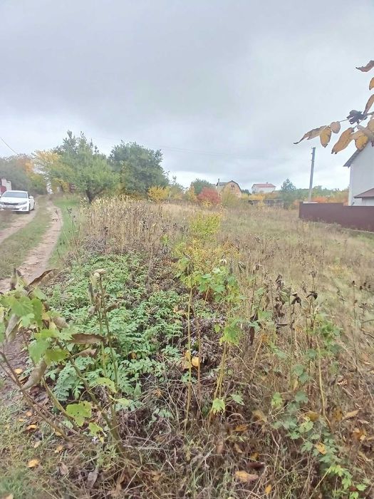 Ціна - подарунок за 6.5 соток під Києвом / с. Петрушки