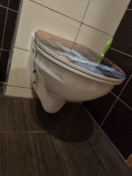 Toaleta muszla klozetowa WC deska