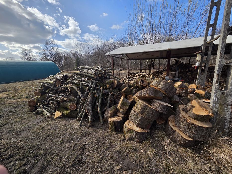 Sprzedaż drzewa opałowego , do kominka i do wędzenia