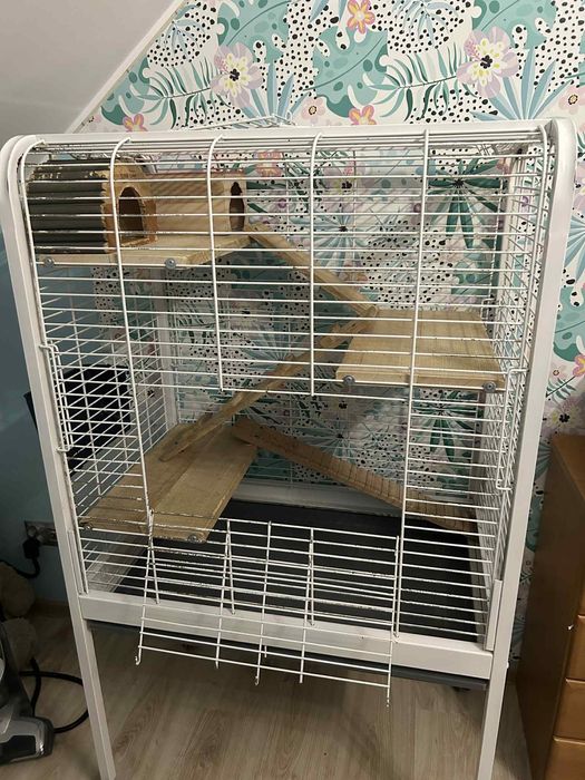 Klatka dla szynszyli