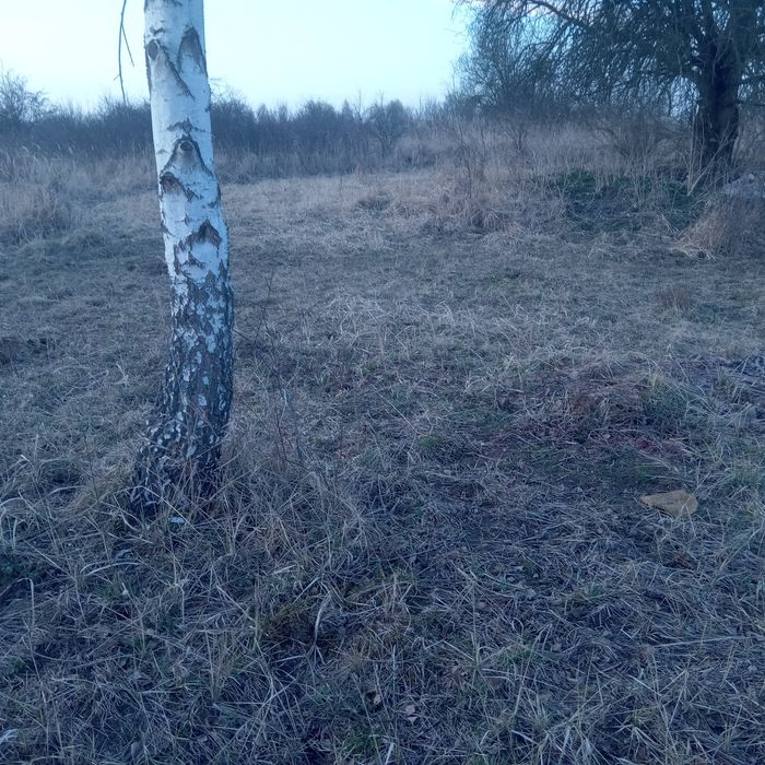 Sprzedam działkę rolną