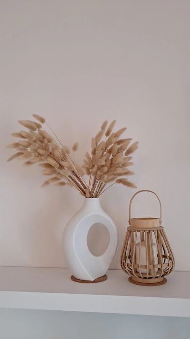 Plantas secas  (natural)