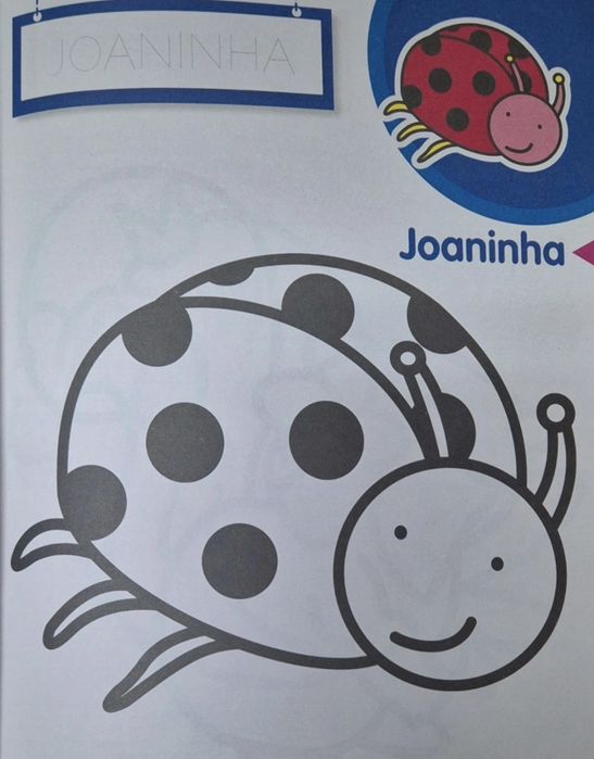 Livro Primeiras Pinturas - A Quinta
