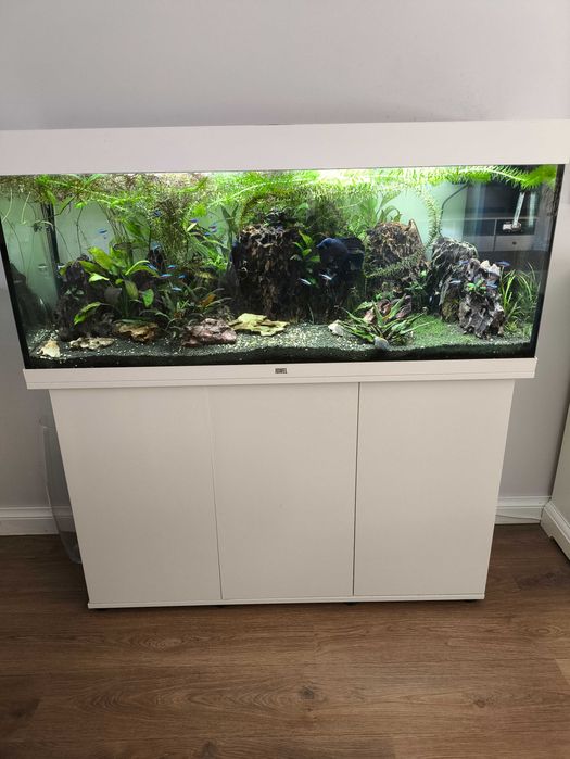 Akwarium zestaw JUWEL 240