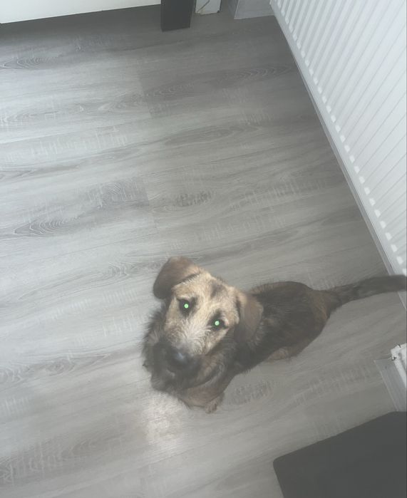 Oddam w dobre ręce