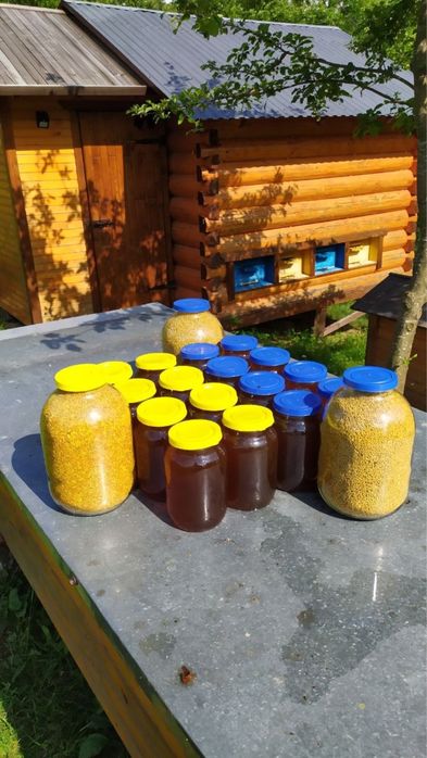 Карпатський мед з горіхами — натуральний смак гір