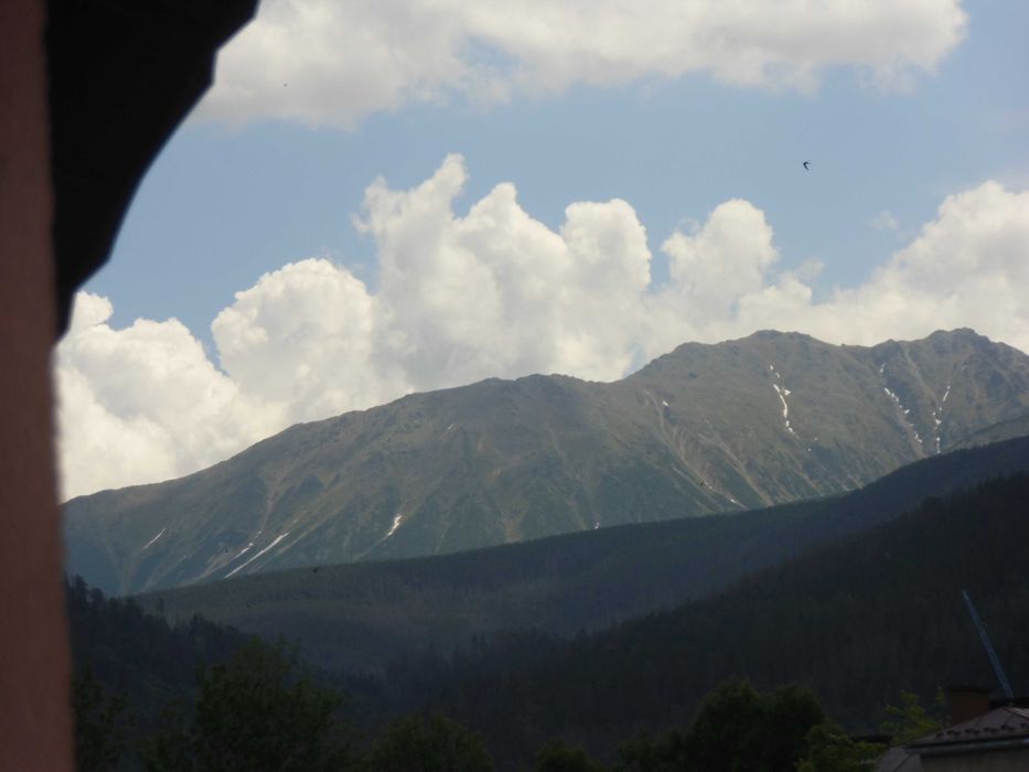 Ścisłe centrum -ZAKOPANE- wolne  od  8-11.09.
