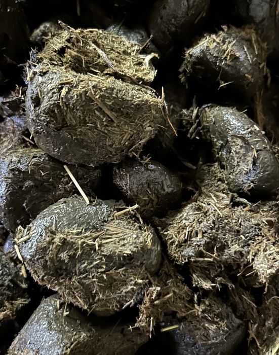 Obornik koński, nawóz