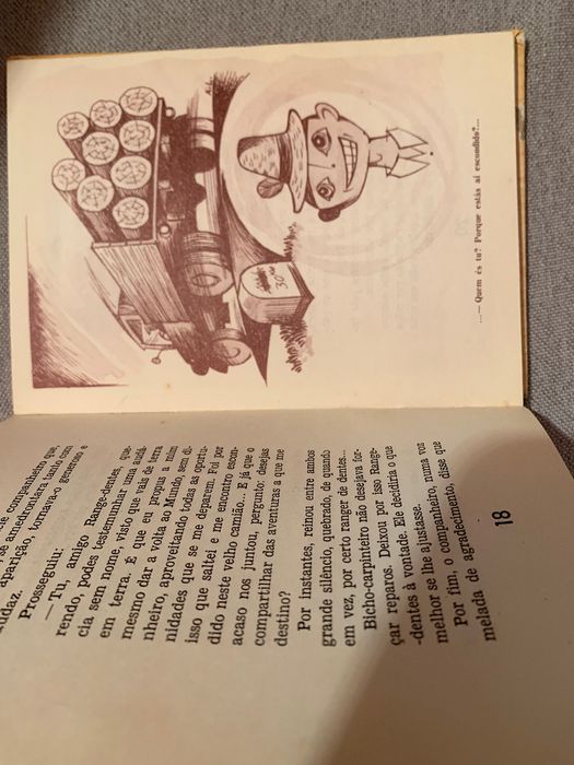 O Milionário Excêntrico - livro infantil