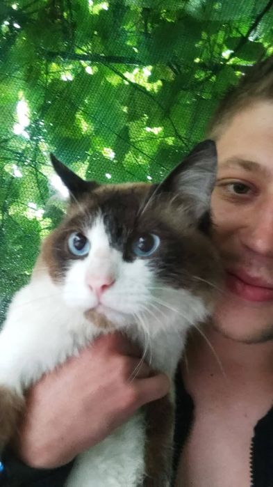 • Отдам в добрые руки кота (примерно 7 лет)

Очень ласковый, домашний