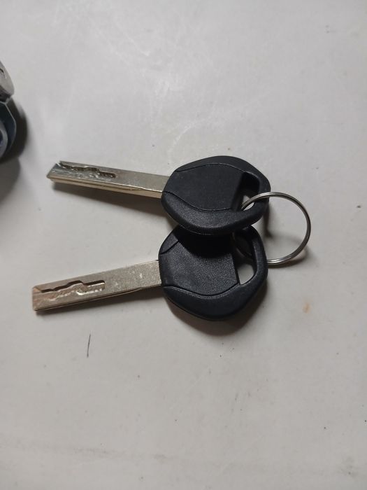 Canhão de Porta para Peugeot e Citroën (Novo) com 2 Chaves
