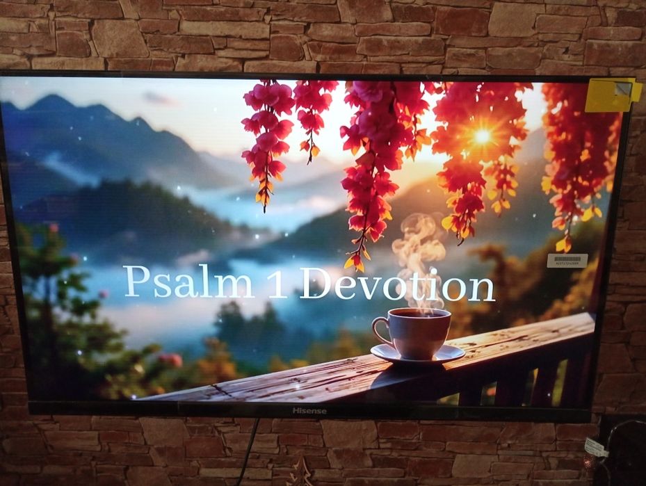 Телевізор Hisense 32"