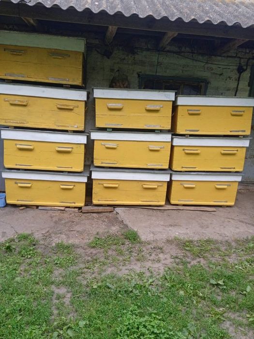 Продам вулики лежаки