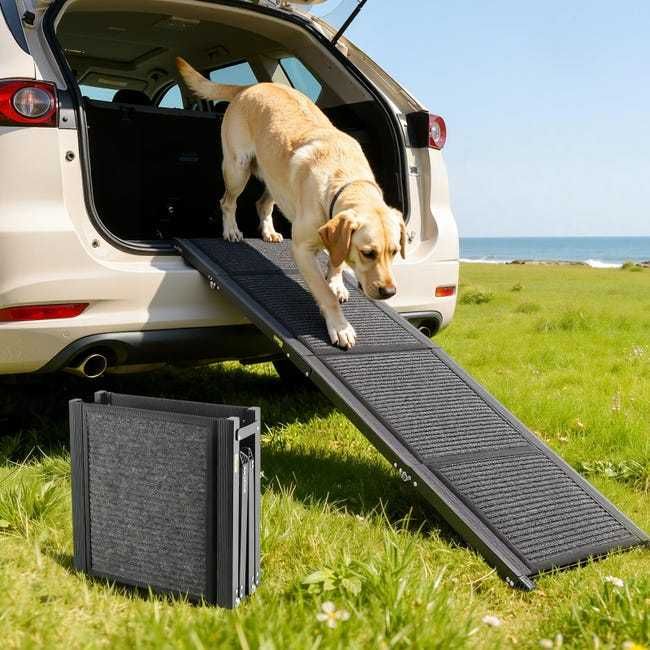 Rampa para Animais - Bem estimada - Baixa de Preço