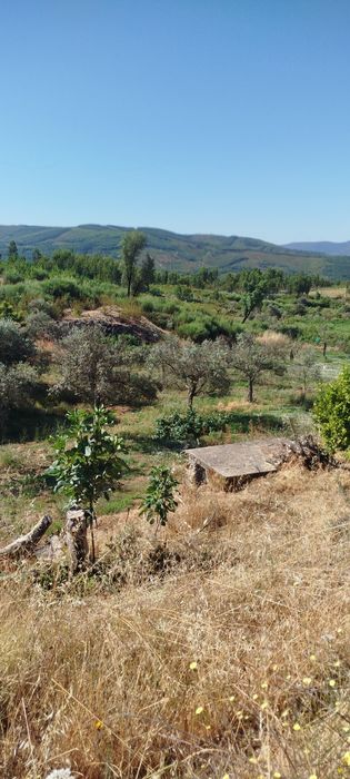 Quinta rural com  41000 metros s quadrados