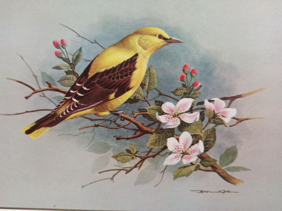 Постери картини підставки