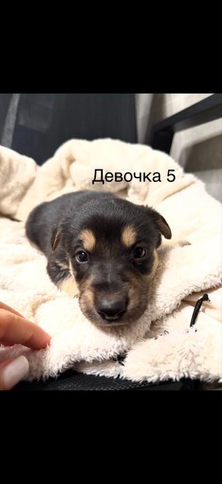 Люді добрі , допоможіть , благаю