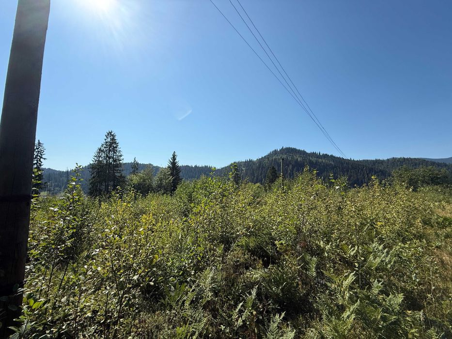 Земельна ділянка 130 соток, м.Яремче (Хижки), поділ від 0,10 га