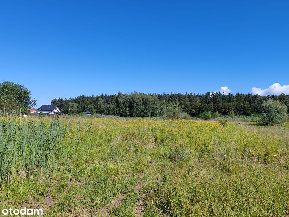 Działka 900m² w spokojnej lokalizacji - Widok 3
