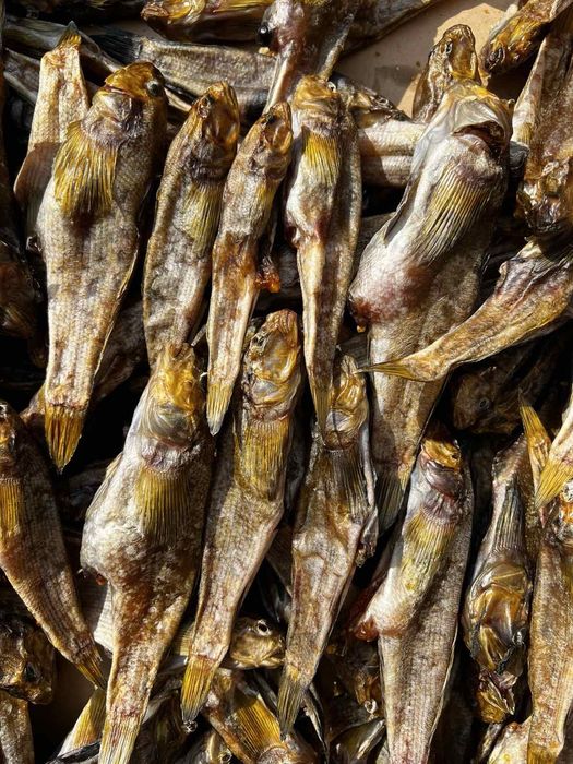 Бычок  вяленый  икрянчик.