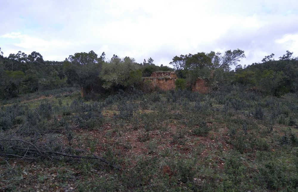 Terreno com Ruína Legalizada – 11,85 ha – Aljezur
