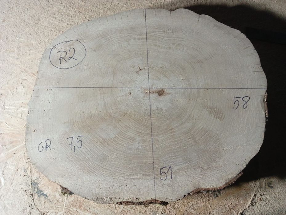 Plaster drewna bukowego R2