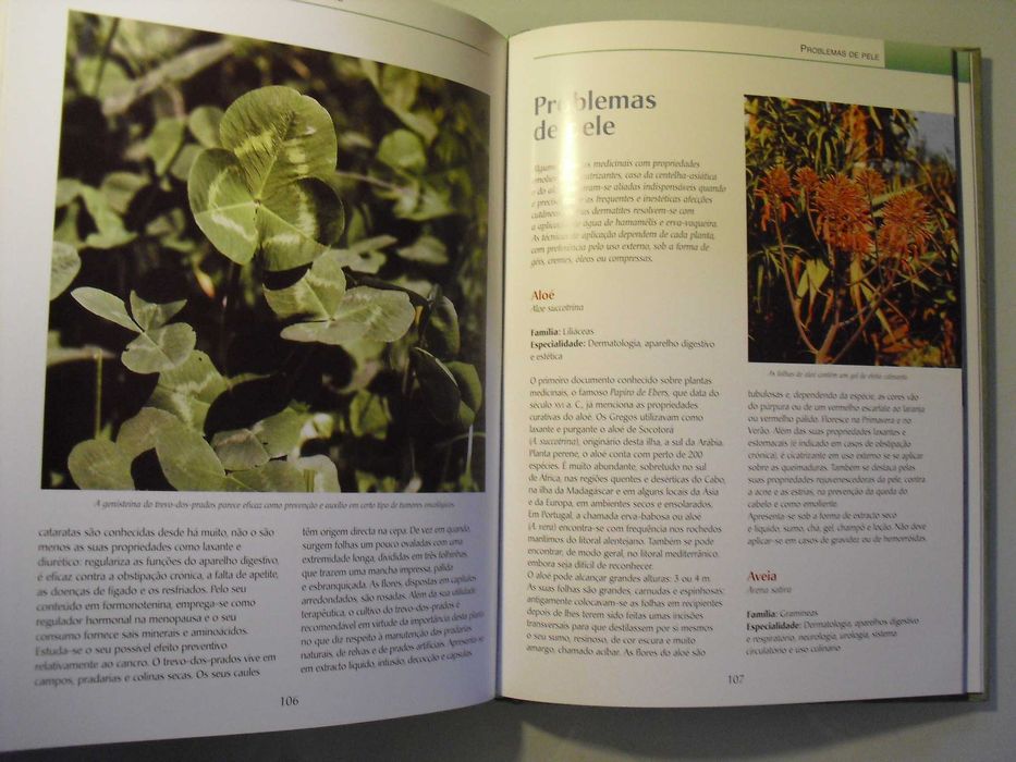 Dominguez (Mercedes);Novo Guia das Plantas Medicinais