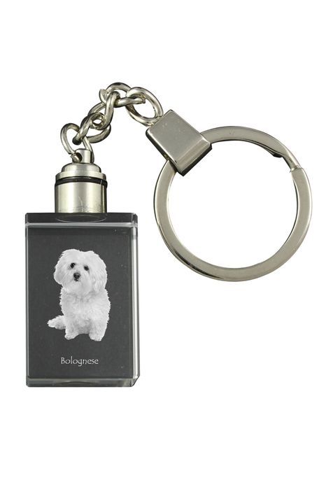 Bolończyk brelok kryształowy z psem Art-Dog