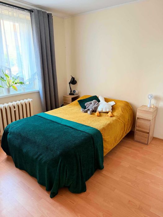 Zdjęcie 5