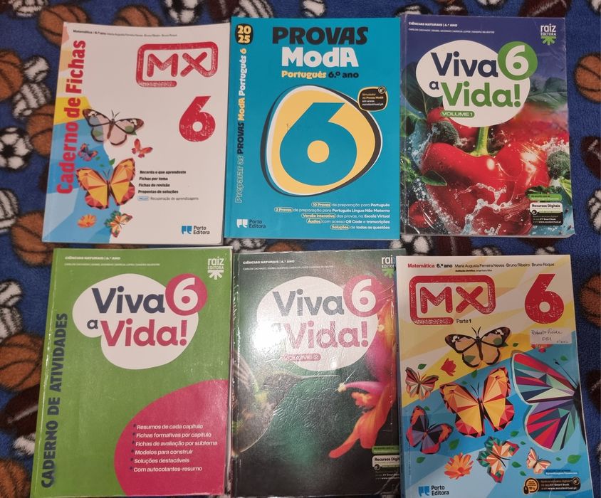 Livros escolares do 6°ano