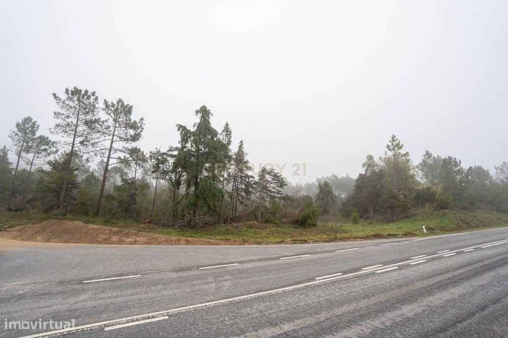 Terreno em Miranda do Corvo- Oportunidade Única por 37.000€