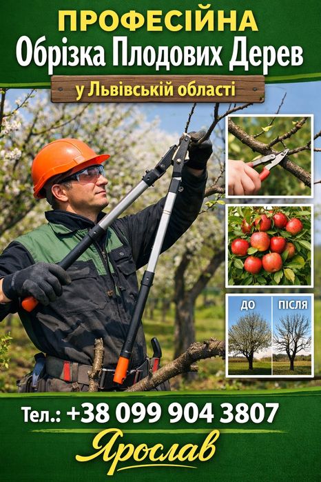 Обрізка плодових дерев.  Професійно