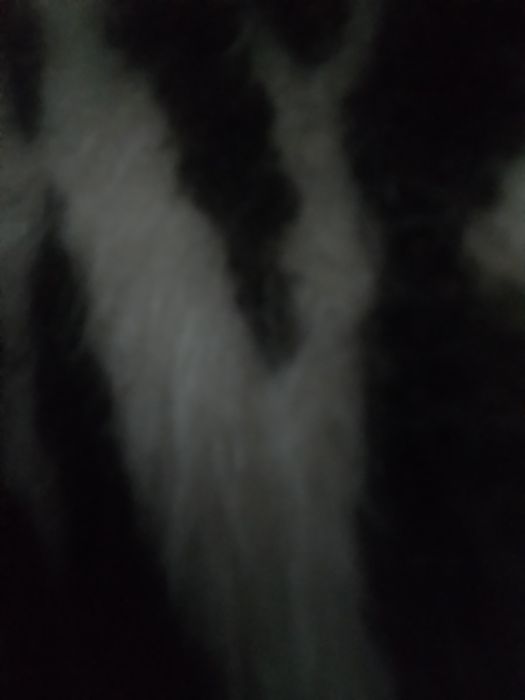 Plaszcz wełna. Naturalna. Deni Cler.