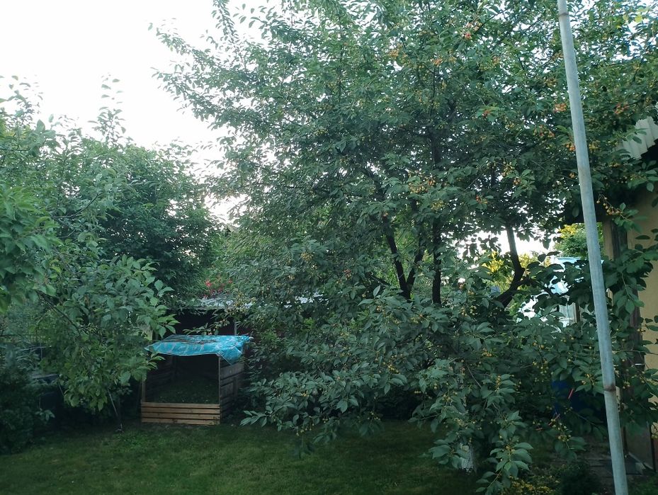 Działka ROD Reja 344 m² - Widok 6