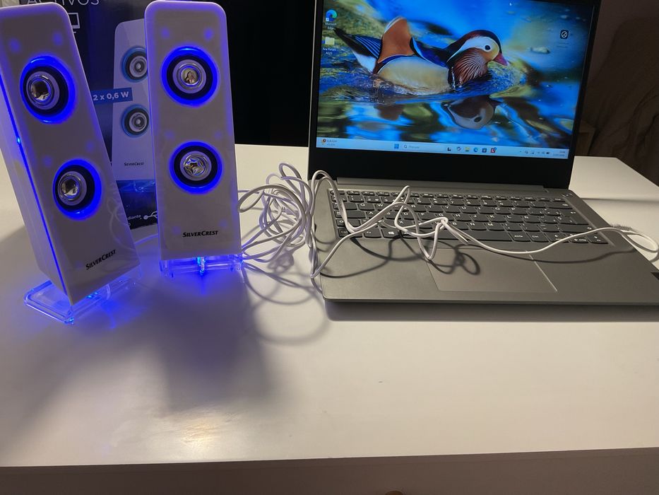 Altifalantes Silvercrest usados