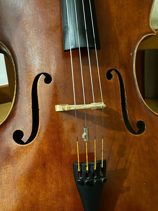 Violoncelo Profissional Luthier - Jay Haide 2017