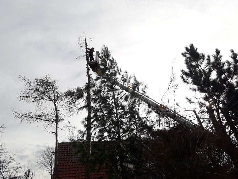 Koszenie trawy,koszenie działek budowlanych, mulczer leśny